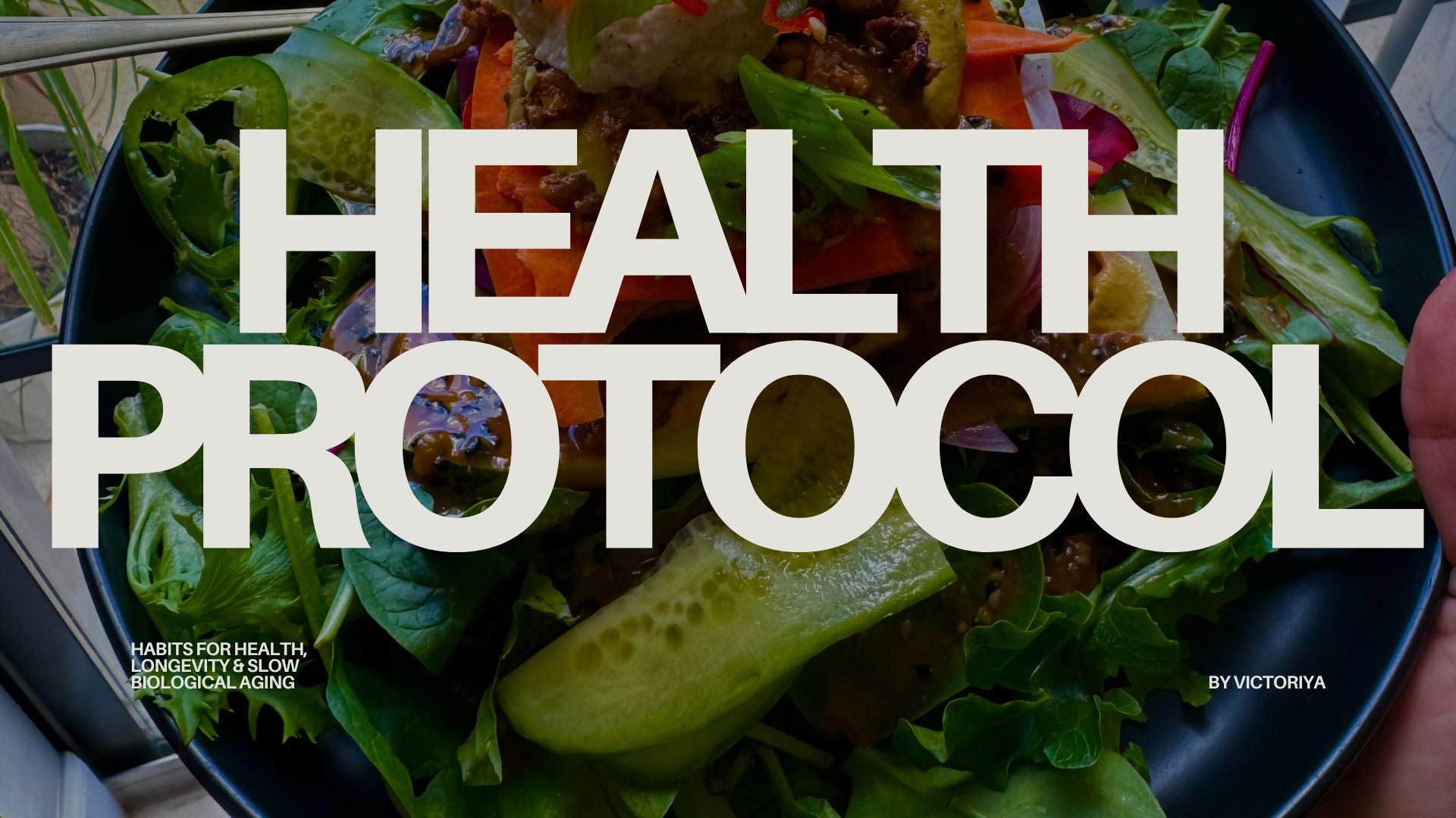 Health & Longevity Protocol PDF • How I Reversed My Biological Age