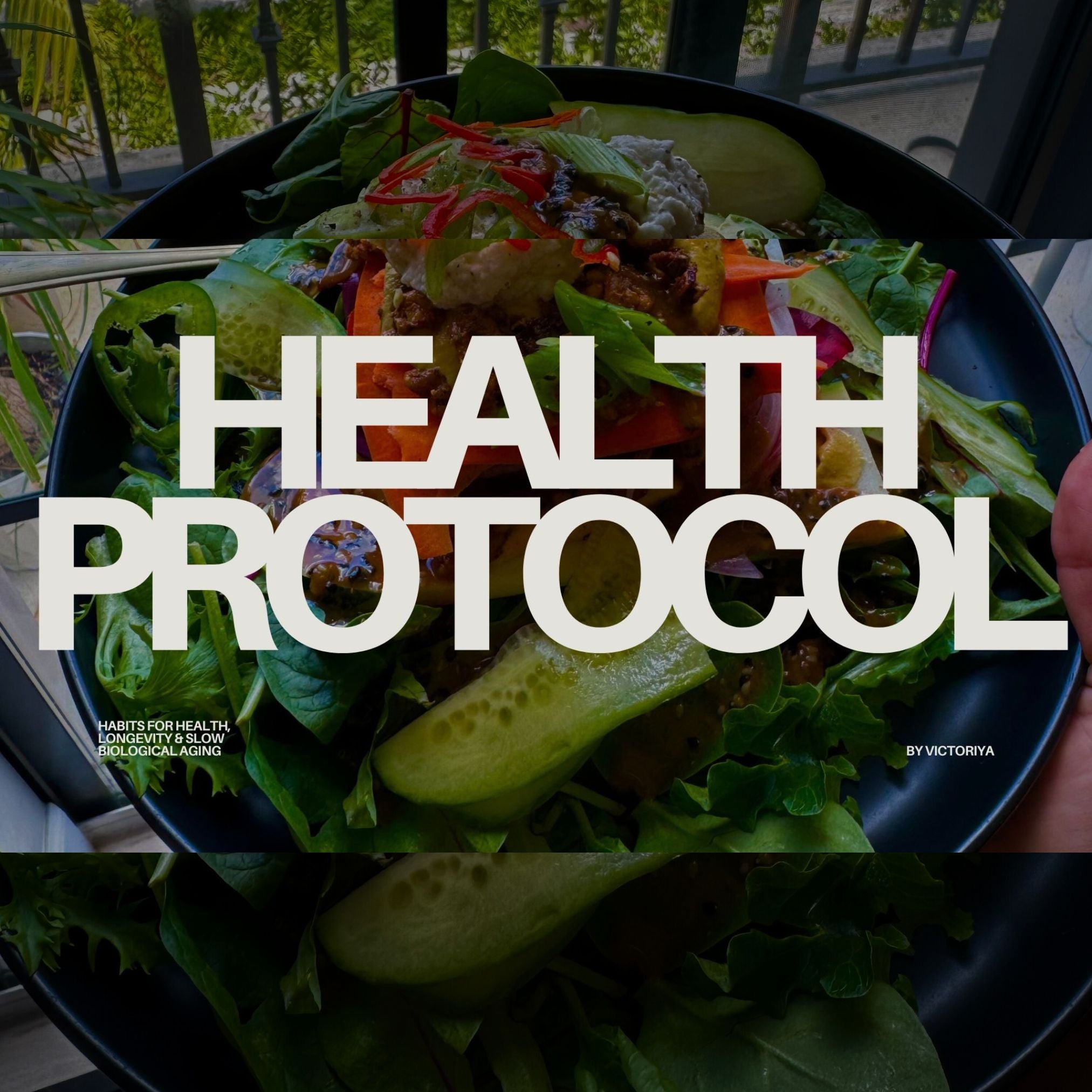 Health & Longevity Protocol PDF • How I Reversed My Biological Age